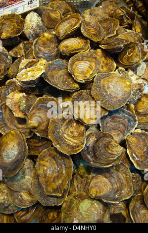 Dipartimento di frutti di mare Mercado Nuestra Senora de Africa market place Santa Cruz città isola di Tenerife Isole Canarie Spagna Foto Stock