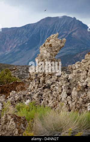 Formazione di roccia al Lago Mono, Sierra orientale, California, Stati Uniti d'America, America del Nord Foto Stock