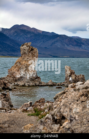 Formazione di roccia al Lago Mono, Sierra orientale, California, Stati Uniti d'America, America del Nord Foto Stock