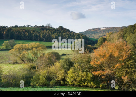 Il Cavallo Bianco di Kilburn in autunno Foto Stock