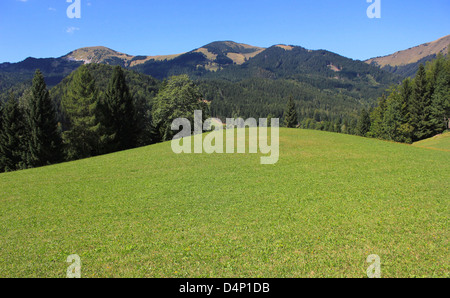 Verde prato alpino con boschi e alte montagne sullo sfondo - paesaggio di montagna, Caravanche, Slovenia Foto Stock