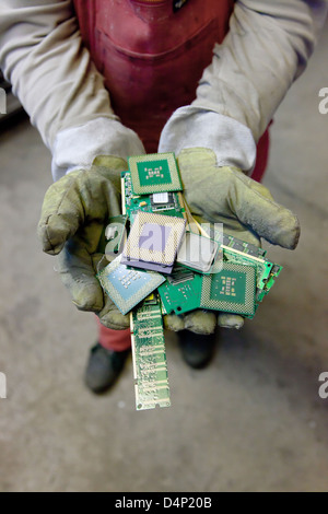 Berlino, Germania, il dipendente detiene BRAL CPU nelle mani Foto Stock