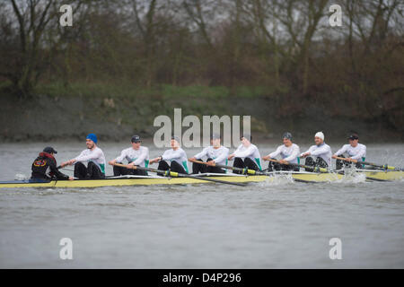 Regno Unito. Il 17 marzo 2013. Oxford University Boat Club (OUBC) attrezzatura contro un tedesco otto. Oxford Blue equipaggio:- , B: Patrick vicino, 2: Geordie Macleod, 3: Alex Davidson, 4: Sam O'Connor, 5: Paul Bennett, 6: Karl Hudspith, 7: Costantino Louloudis, S: Malcolm Howard, C: Oskar Zorrilla tedesco Otto equipaggi:- , B: Toni Seifert - 2012 Olimpiadi di Londra, M4- (6°), 2: Felix Wimberger - 2012 U23 Campionati del Mondo, M8+ (argento), 3: Massimiliano Reinelt - 2012 Olimpiadi di Londra, M8+ (Oro), 4: Felix Drahotta - 2012 Olimpiadi di Londra, M2- (7°), 5: Anton Braun - 2012 Olimpiadi di Londra, M2- (7°), 6: Kristof Wi Foto Stock