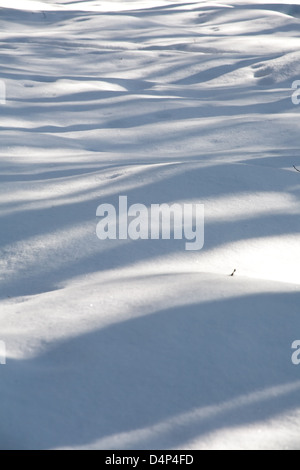 Modello di luce e ombra sulla superficie della neve Foto Stock