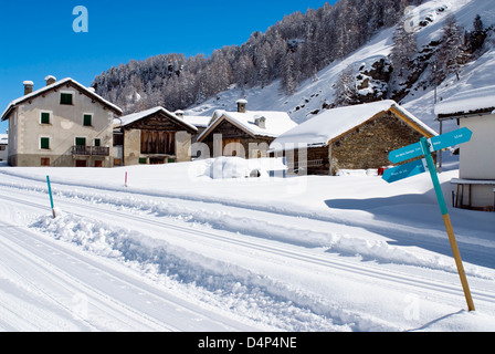 Sci di fondo via presso il Villaggio Isola presso il lago di Sils, chiamato anche il villaggio di capra in inverno, Svizzera Foto Stock