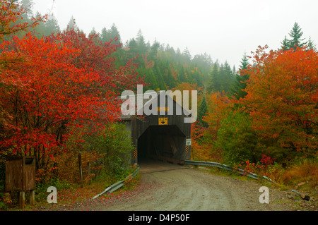 Quaranta cinque ponte coperto, Fundy National Park, New Brunswick, Canada Foto Stock