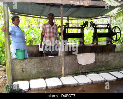 (Dpa) file di un file immagine datata 29 febbraio 2008 visualizza il processo per la fabbricazione di gomma in Bentota, Sri Lanka. Raccolti la gomma naturale è premuto, i prodotti chimici sono aggiunti per portarlo in forma. Foto: Rolf Haid Foto Stock