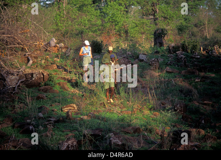 Kenneth Manyangadze, tracking Rinoceronte nero spoor, salvare Valley Wildlife Conservancy, villaggio di Mahenye, Zimbabwe Africa Foto Stock