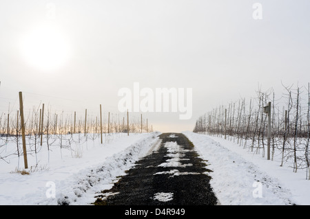 Meleto in inverno, Upstate New York Foto Stock