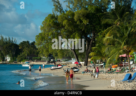 Una spiaggia orlata di palme vicino a Holetown, la parrocchia di San Giacomo, Barbados, Caraibi Foto Stock