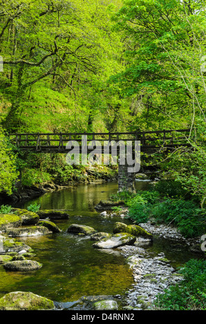 Passerella sul est Lyn River a Rockford in Exmoor durante la primavera nei pressi di Lynmouth, Devon, Inghilterra. Foto Stock