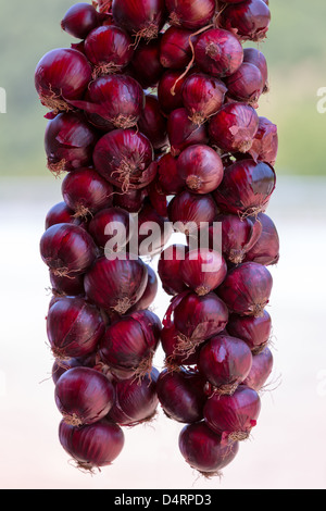 Le cipolle rosse appese nel mercato. Prodotti freschi accanto all'autostrada a Bursa in Turchia. Foto Stock