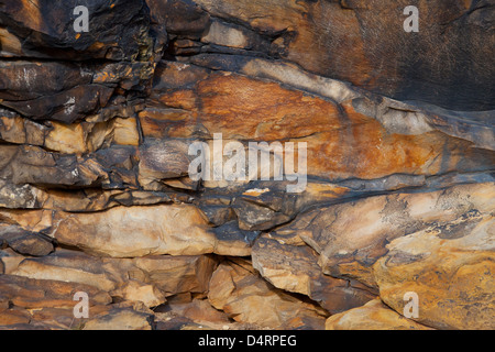 Il Mittelsteine vicino Weddersleben, parte dell'Teufelsmauer / Muri del Diavolo, roccia arenaria formazione nel Harz, Germania Foto Stock