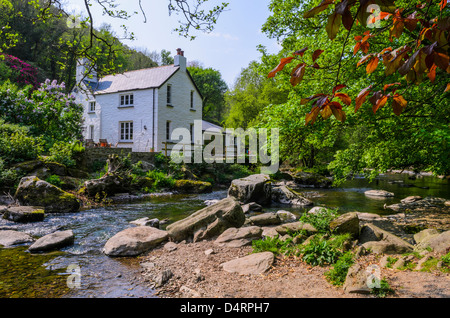 Cottage accanto a est di Lyn River a Rockford in Exmoor durante la primavera nei pressi di Lynmouth, Devon, Inghilterra. Foto Stock