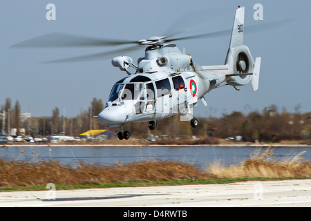 Eurocopter AS-565MB Panther della Marina bulgara di decollare da Varna, Bulgaria. Foto Stock