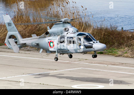 Eurocopter AS-565MB Panther della Marina bulgara si prepara a terra su una pista di Varna, Bulgaria. Foto Stock