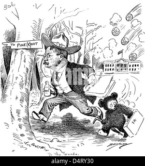 Questo cartone animato politico del 1906 presenta il presidente Theodore Roosevelt e l'iconico personaggio di Teddy Bear, creato da Clifford Berryman. Il cartone riflette il ruolo di Roosevelt nella creazione dell'orsacchiotto e i suoi sforzi di conservazione, conservati negli U.S. National Archives. Foto Stock