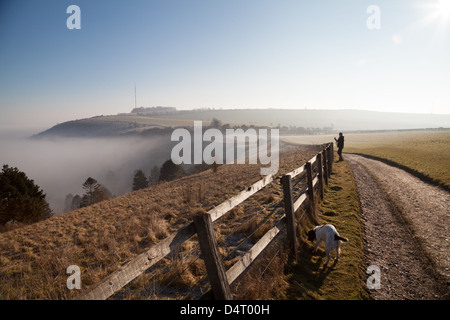 Una mattina in vista della TV Hannington montante su Cottington Hill in Hampshire visto da il viandante a piedi sul cannone Heath verso il basso Foto Stock