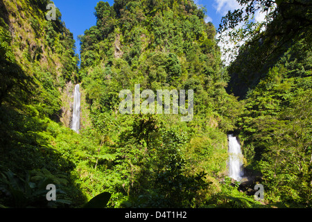 Il twin Traflagar cade in Dominica. Foto Stock