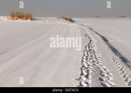 Scene invernali intorno a Doncaster con una casa di pietra ricoperta di neve, una persona che cammina attraverso un sentiero boschivo ghiacciato e impronte attraverso il fiel innevato Foto Stock
