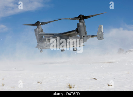 Un CV-22 Osprey decolla da una zona di atterraggio. Foto Stock