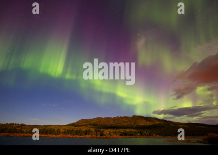 Aurora Boreale con moonlight al pesce di lago, Whitehorse, Yukon, Canada. Foto Stock