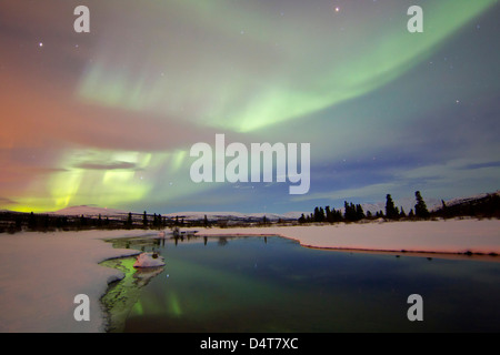 Aurora Boreale su creek dal pesce di lago, Whitehorse, Yukon, Canada. Foto Stock