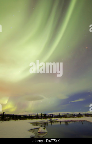 Aurora Boreale su creek dal pesce di lago, Whitehorse, Yukon, Canada. Foto Stock