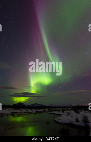 Aurora Boreale su creek dal pesce di lago, Whitehorse, Yukon, Canada. Foto Stock