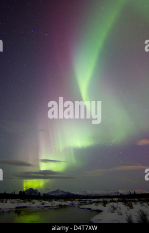 Aurora Boreale su creek dal pesce di lago, Whitehorse, Yukon, Canada. Foto Stock