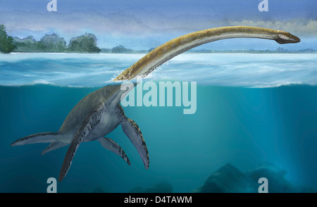 Elasmosaurus platyurus, un dinosauro preistorico dal Cretaceo. Foto Stock