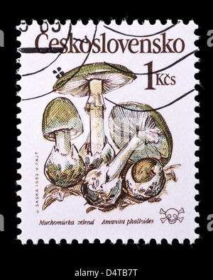 Francobollo dalla Cecoslovacchia raffigurante una morte tappo (a fungo Amanita phalloides) Foto Stock