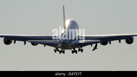 Un uccello vola passato l'Airbus A380 di Air France KLM come si inizia con l'impianto di Airbus in Hamburg-Finkenwerder, Germania, 30 ottobre 2009. Vettore francese Air France è la prima compagnia aerea europea a mettere un A380 in funzionamento. Un totale di 600 ospiti, 200 da Francia, venne alla cerimonia per la società?s locali. Foto: Marcus Brandt Foto Stock