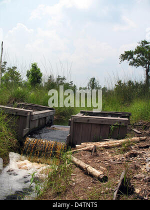 Uno dei canali di trasporto alberi disboscate in esecuzione attraverso la regione di Kalimantan sull isola di Borneo, Indonesia, 03 novembre 2009. Uno del mondo?s più importanti sink di carbonio è in grave pericolo. Indonesia?s torba palude boschi, che?s motivi memorizzare alcuni 6.000 tonnellate di carbonio per heactare - 50 volte la quantità di altre foreste tropicali - sono rapidamente disboscate. Foto: Christiane Oe Foto Stock