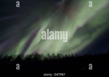 Aurora boreale o le luci del nord in movimento attraverso il cielo notturno entro il Circolo Polare Artico di Troms Tromso Norvegia regione 2013 Foto Stock