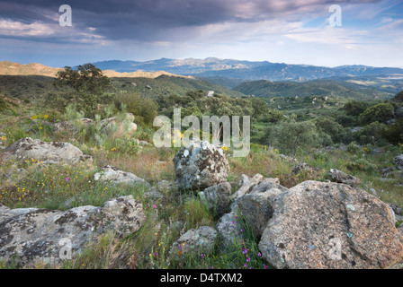 Vista Southernly dalla Sierra de la Atalaya, Adalusia; provincia di Almeria, Spagna Foto Stock