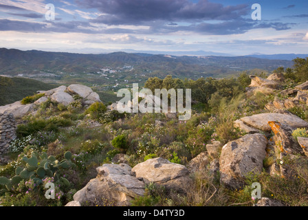 Vista verso nord dalla Sierra de la Atalaya, Adalusia; provincia di Almeria, Spagna Foto Stock