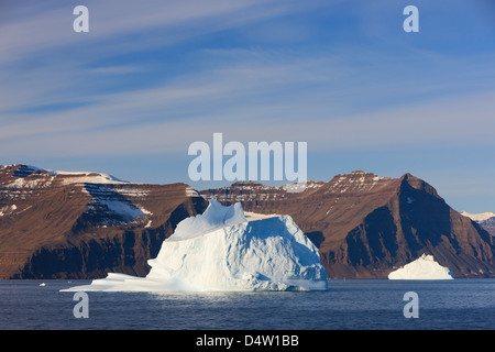 Iceberg nel Scoresbysund, est della Groenlandia Foto Stock