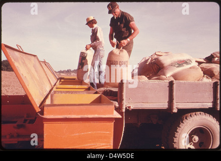 Sweet Clover e Orchard Grass seme sono versati in un Bulldozer-tirato Seeder che lo spargerà 450 libbre all'Acre il Land è stato rieeded dopo estrazione a striscia da società del carbone nel sud-est dell'Ohio. Prendi la Route 800 vicino a Morristown. 07/1974 Foto Stock