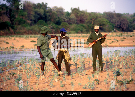 Kenneth Manyangadze, capo scout, sulla sinistra, tracking Rinoceronte nero spoor, salvare Valley Wildlife Conservancy, Mahenye, Manicaland Province, Zimbabwe Foto Stock