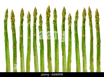 Gruppo di asparagi verdi ortaggi sani organizzati in una riga isolata su uno sfondo bianco come un cibo concetto di salute Dieta e vivere una naturale montare ben nutrita la vita. Foto Stock