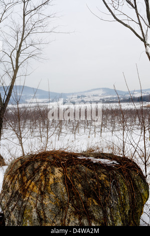 Meleto in inverno, Upstate New York Foto Stock