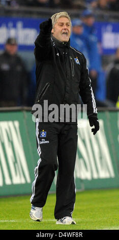 Amburgo allenatore Armin Veh gesti durante una partita della Bundesliga di Hamburger SV versus VfB Stuttgart a Amburgo, Germania, 27 novembre 2010. La HsV vince da 4-2. Foto: Marcus Brandt Foto Stock