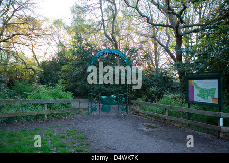 Holly Hill woodland park in Locks Heath Hampshire Foto Stock