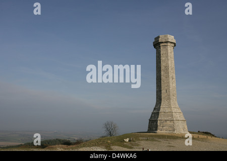 Hardy's Monument in Dorset Foto Stock