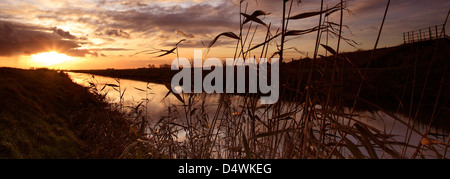 Tramonto in inverno scena, 40 piedi di scarico, vicino a Ramsey town, Fenland, Cambridgeshire, Inghilterra; Gran Bretagna; Regno Unito Foto Stock