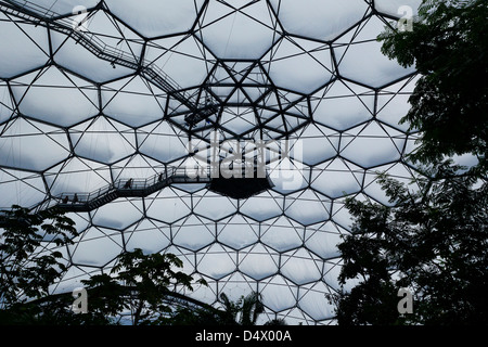 All'internodella rain forest Biome cercando fino alla Foresta Pluviale piattaforma di avvistamento Eden Project Cornwall, Sud Ovest, England, Regno Unito Foto Stock