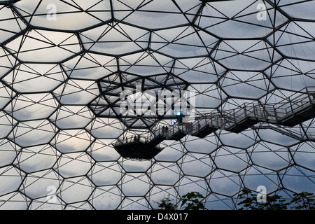 All'internodella rain forest Biome cercando fino alla Foresta Pluviale piattaforma di avvistamento Eden Project Cornwall, Sud Ovest, England, Regno Unito Foto Stock