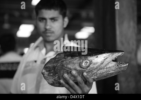 L'uomo mantenendo la testa di pesce al mercato, Dubai, Emirati Arabi Uniti Foto Stock