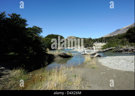 Un flusso nel parco nazionale Los Glaciares ai piedi della gamma di Fitzroy vicino a El Chalten. Argentina. Foto Stock